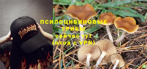 МДМА Новокубанск