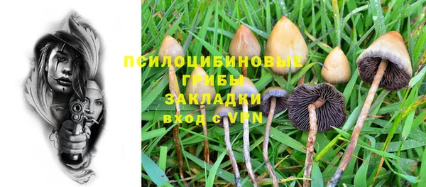 а пвп мука Новозыбков