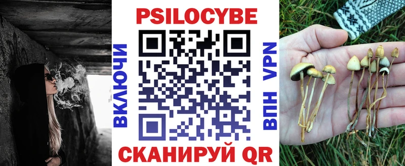 Галлюциногенные грибы Psilocybe  Пудож 